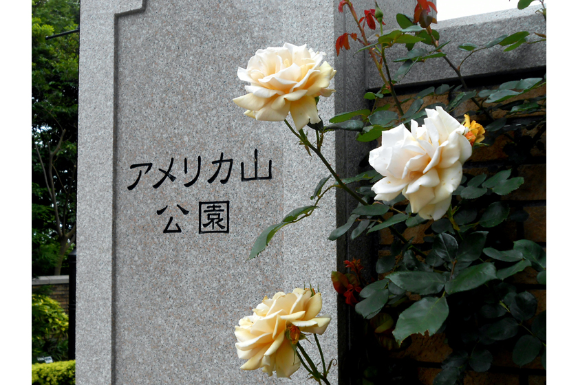アメリカ山公園