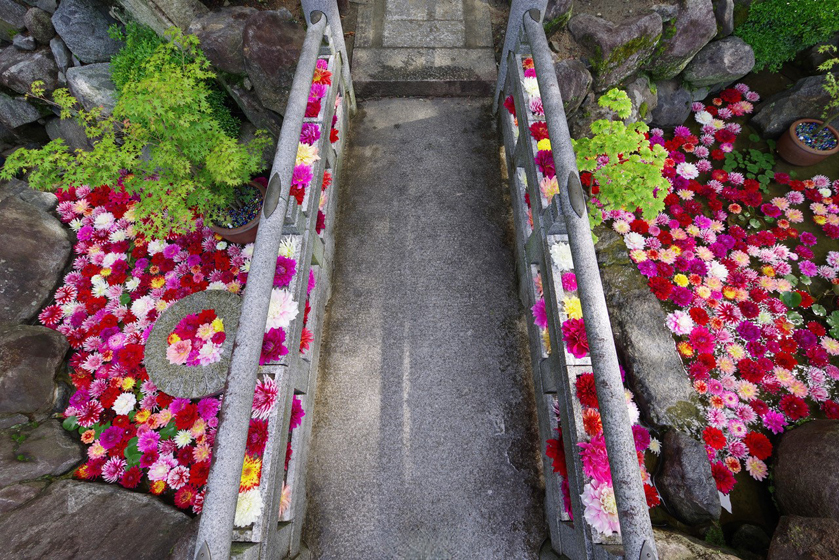 岡寺