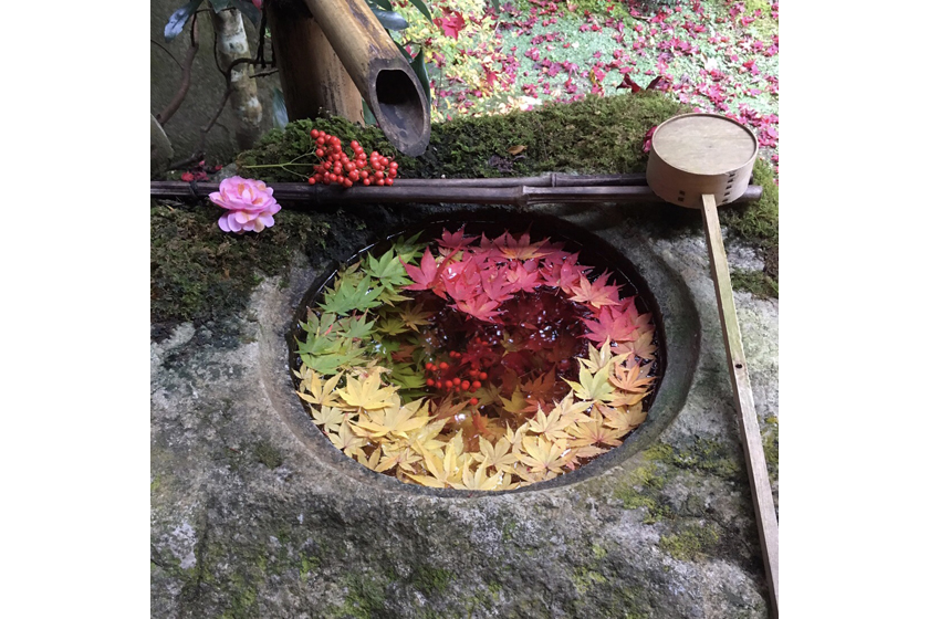 柳谷観音 立願山楊谷寺