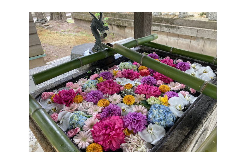 上野総社神社