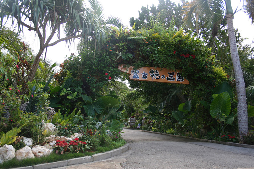 馬路村