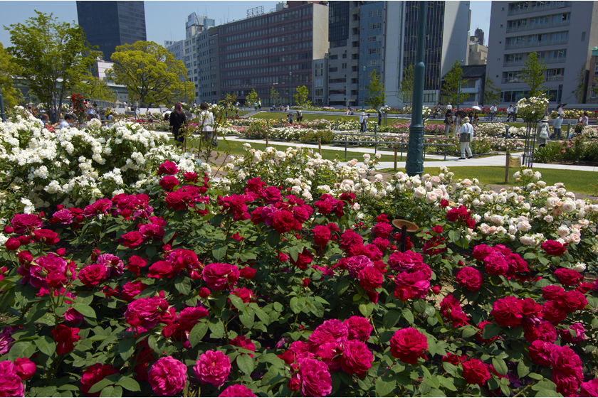 中之島公園
