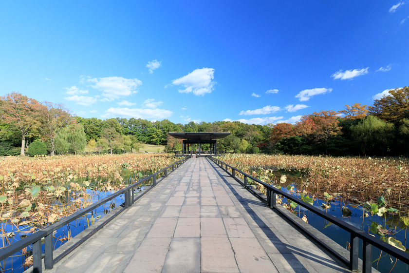 万博記念公園