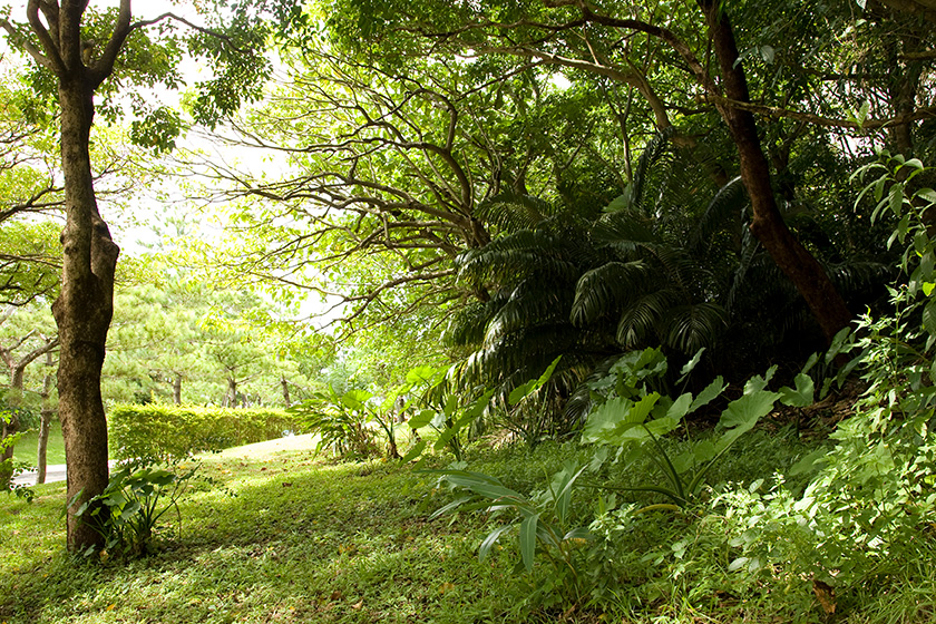 首里城公園