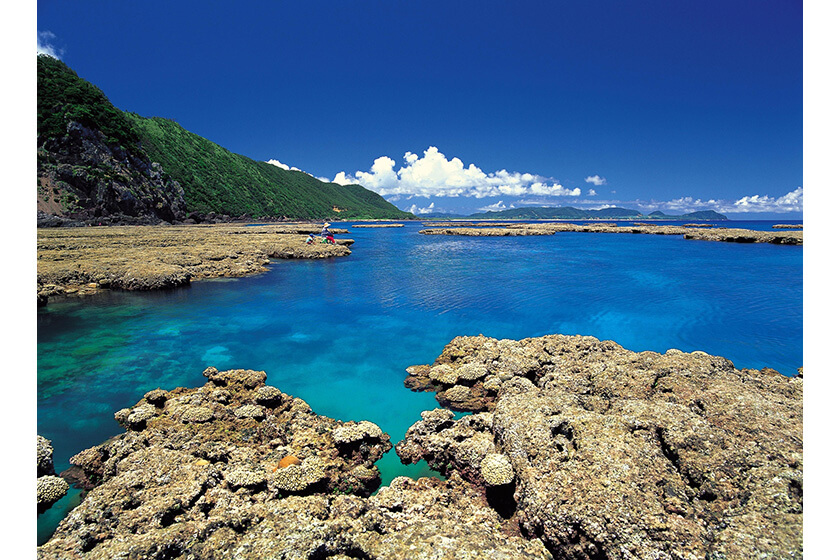 奄美大島の画像