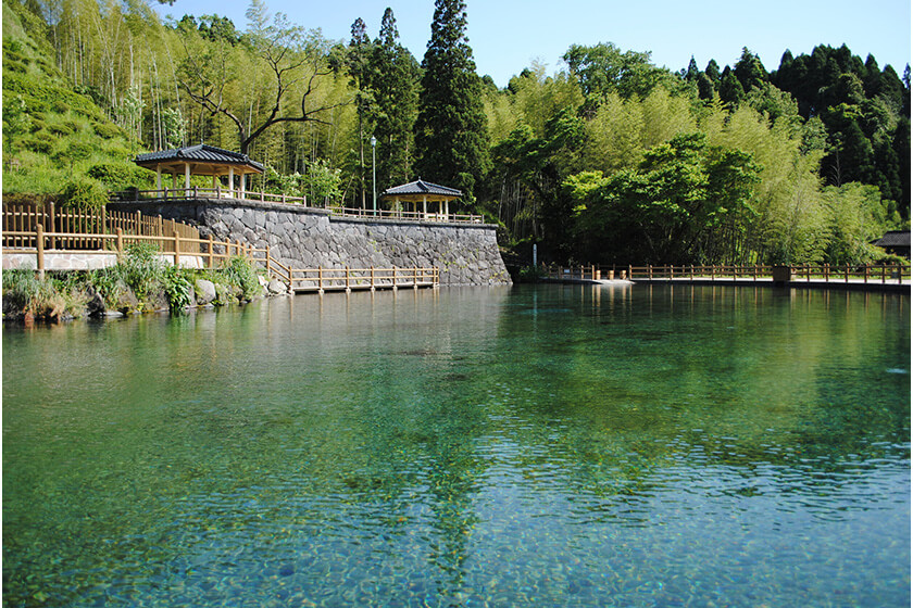 丸池湧水の画像