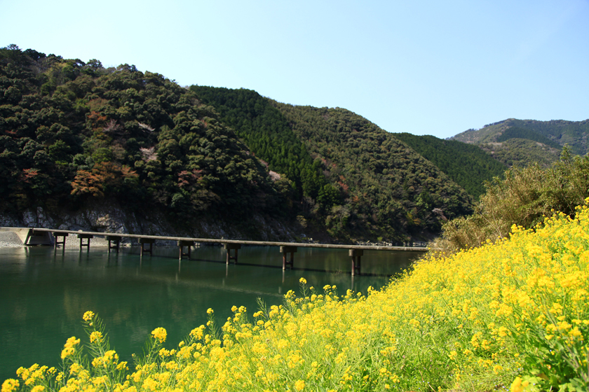 鶴舞公園