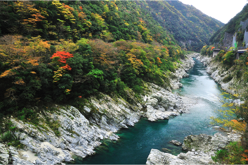 大歩危峡(おおぼけ)・小歩危峡(こぼけ)