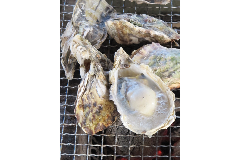 ゆかり黄金缶