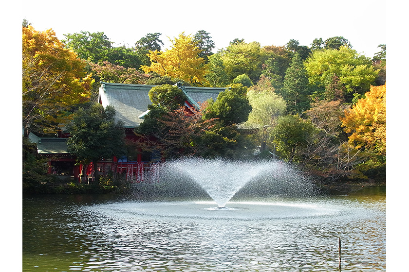 井の頭恩賜公園