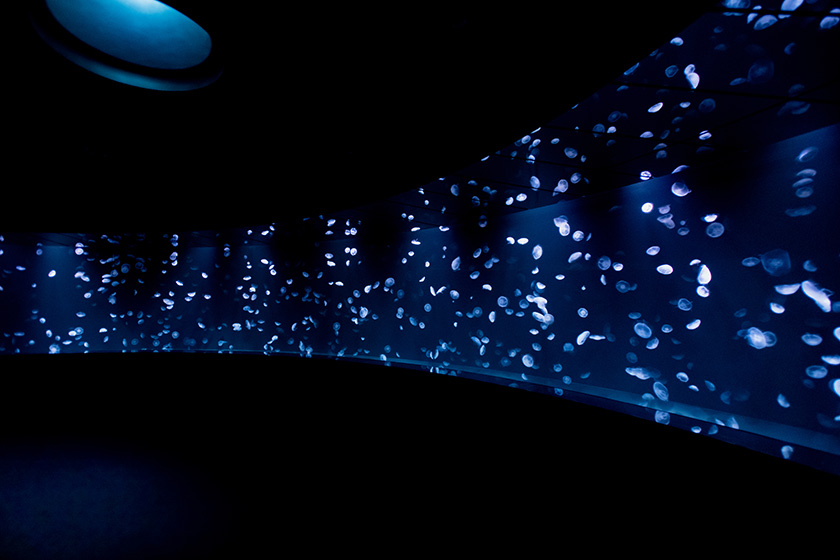 サンシャイン水族館