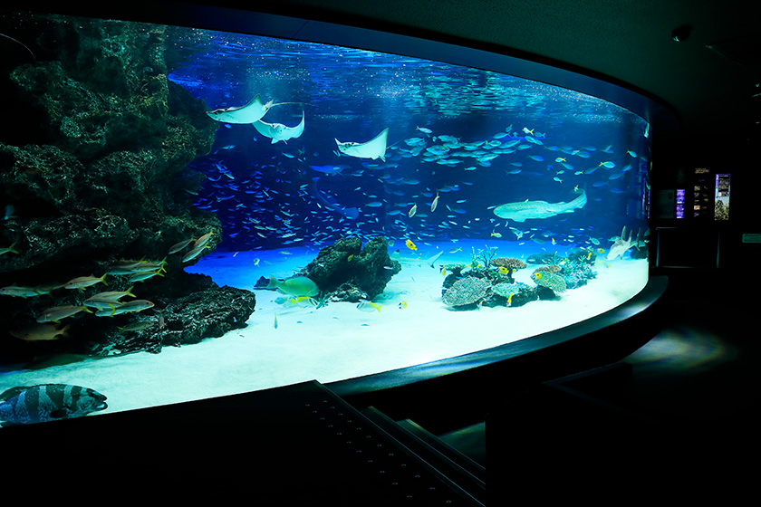 サンシャイン水族館