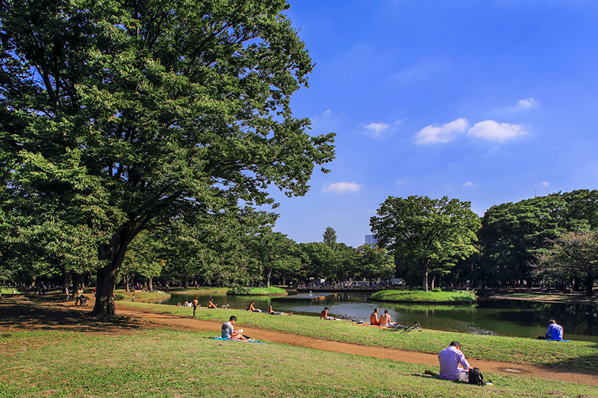 代々木公園