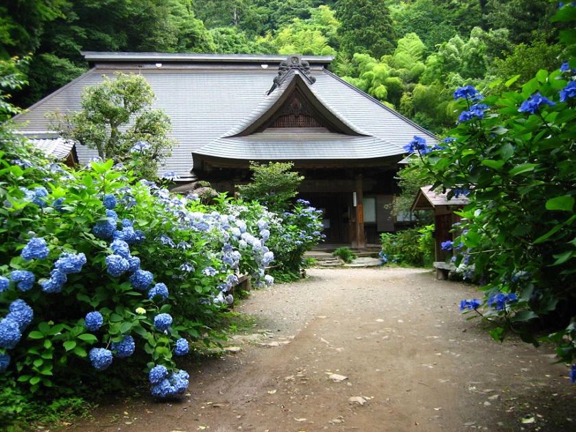 阿弥陀寺