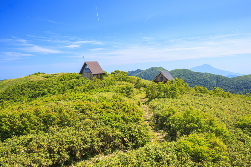 高台寺1