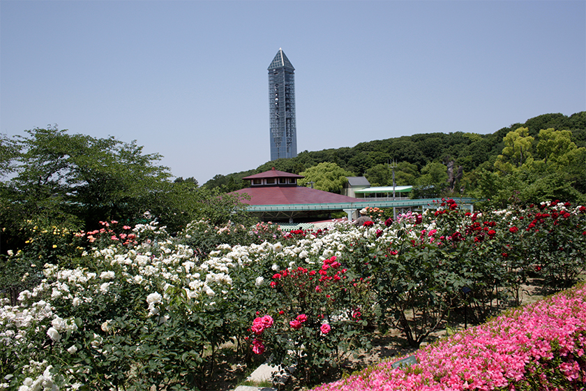 大涌谷