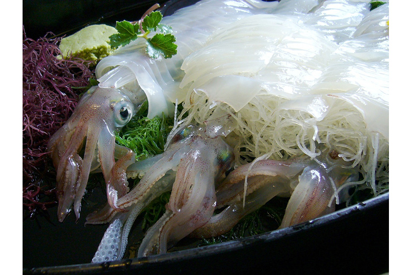 呼子のイカ