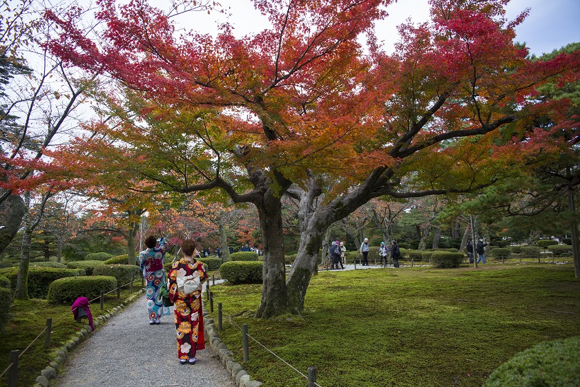兼六園と着物
