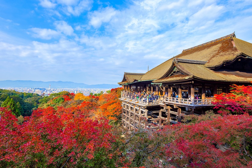 二条市場