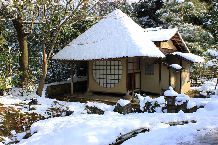 二条市場