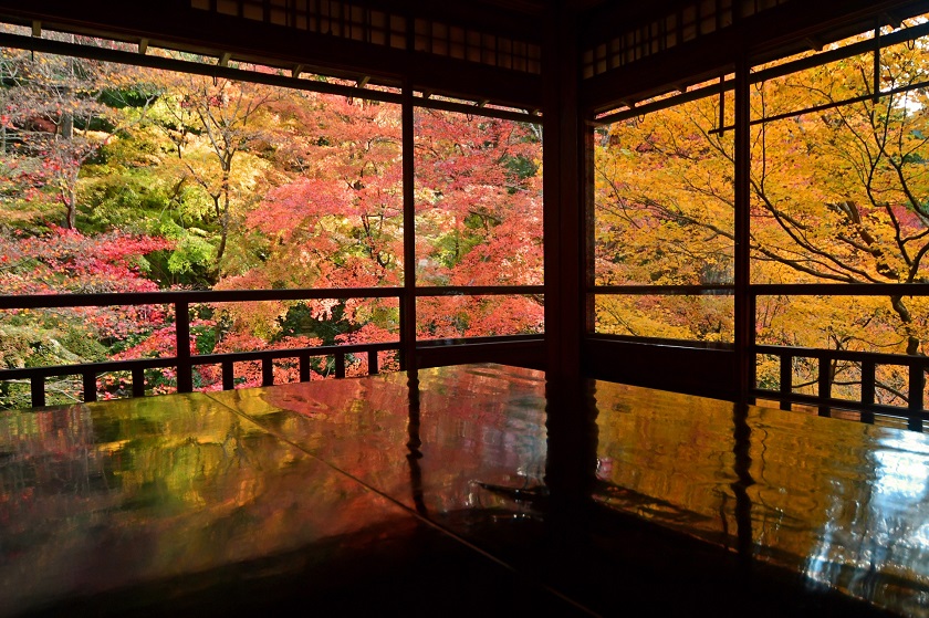 瑠璃光院