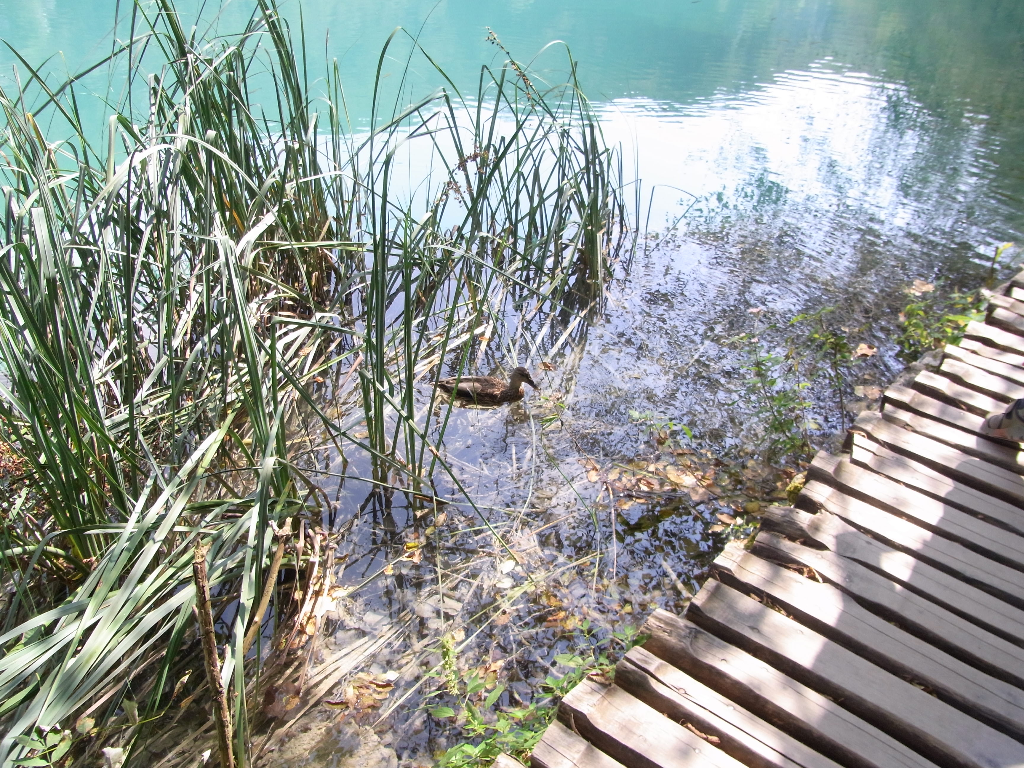 Croatia_Plitvice""
