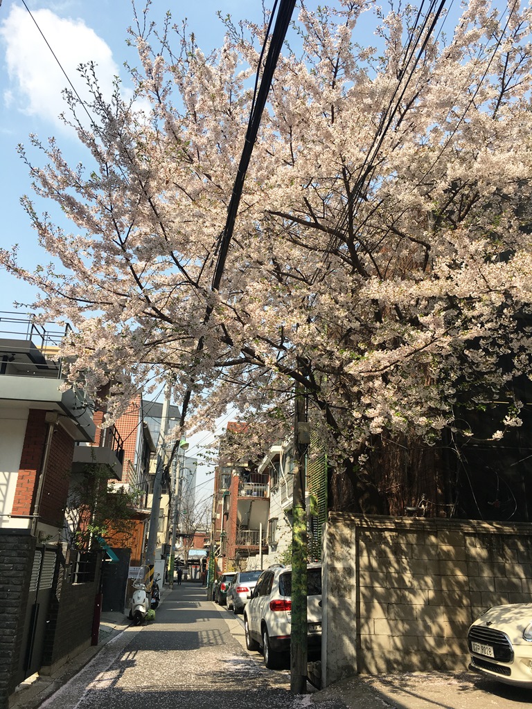 Seoul_seongsu_058""