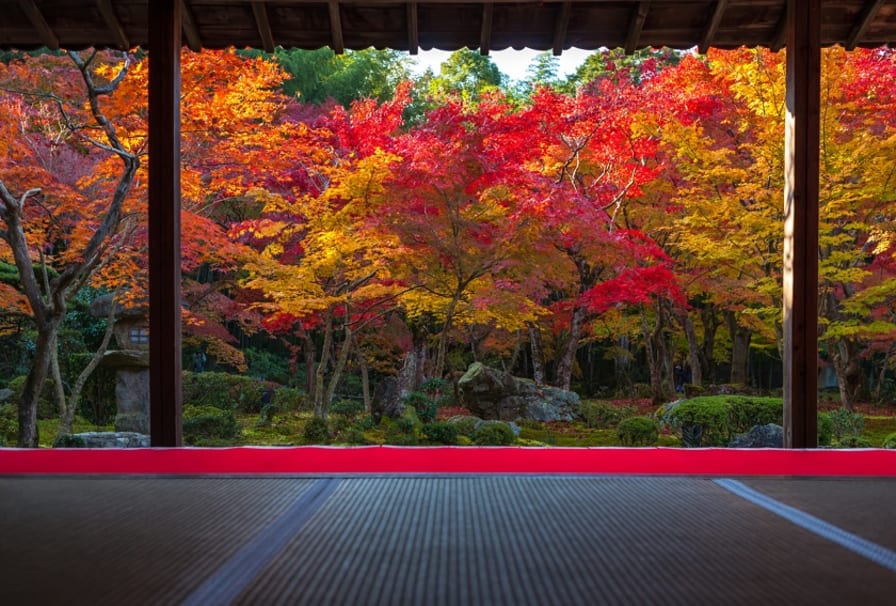 日本が誇る【京都 絶景】おすすめスポット17選～夜間ライトアップの名所も～ | 旅Pocket