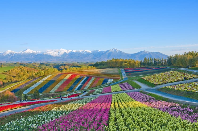 広いぞ！北海道【観光おすすめ40選】札幌・富良野・函館、他…エリア
