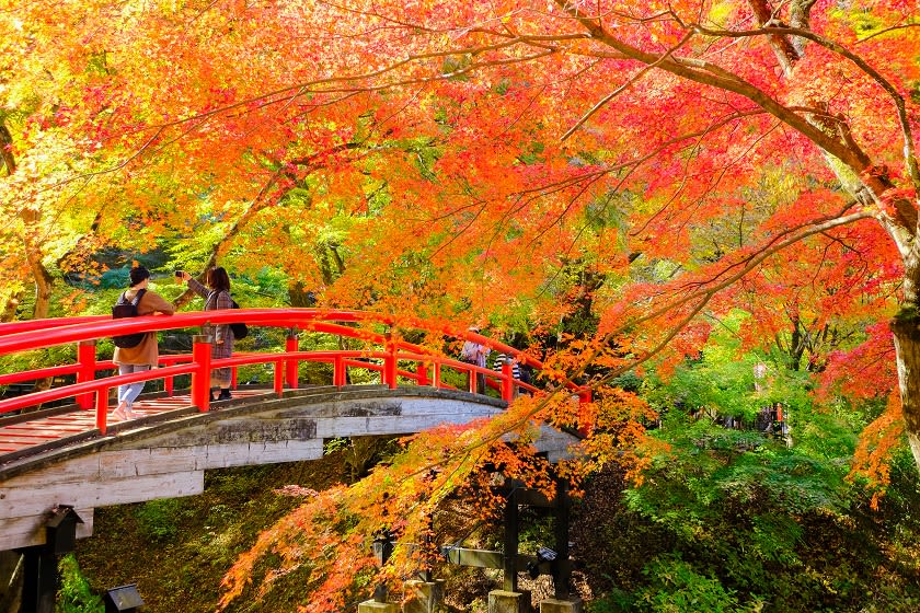 河鹿橋