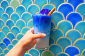 バンコク新定番？！不思議な青いラテがインスタ映えのカフェ♡ブルーホエールマハラート