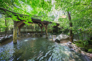 日帰り入浴【黒川温泉】おすすめ風呂13選！周りを気にしない「家族風呂」も！お得な「入浴手形」は活用し...