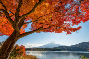 日帰りもOK！関東の紅葉穴場スポット28選【見頃解説やドライブに最適な場所、ライトアップも】