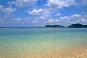 西表島「おすすめ観光＋オプショナルツアー」21選～滝トレッキングやマングローブで自然を大満喫～