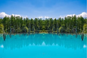 北海道の「青い池」 ベストショットが撮れる時間帯や混雑しにくい時間は?旭川・札幌からのアクセス方法も...