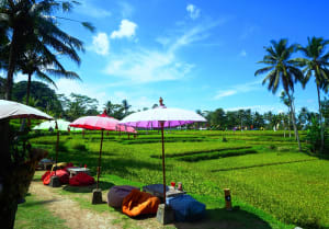 ライステラスに人気ベーカリー！長居したくなるウブド郊外のおすすめカフェ2選