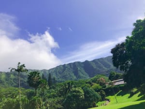 マノアの滝代案ルート！アイフアラマの滝とライアン植物園の魅力をご紹介