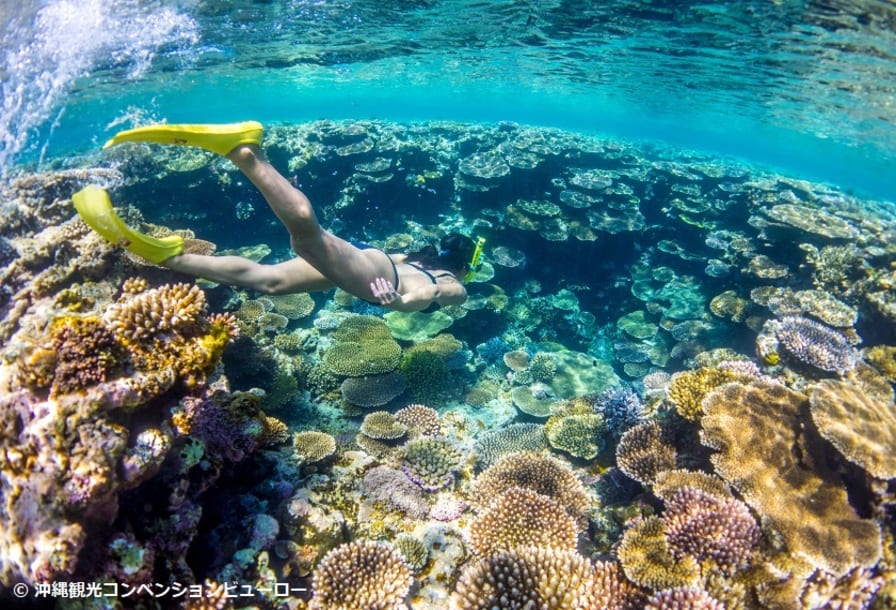 美しすぎる奇跡の島！【バラス島】へのアクセスや過ごし方を紹介！ | 旅Pocket