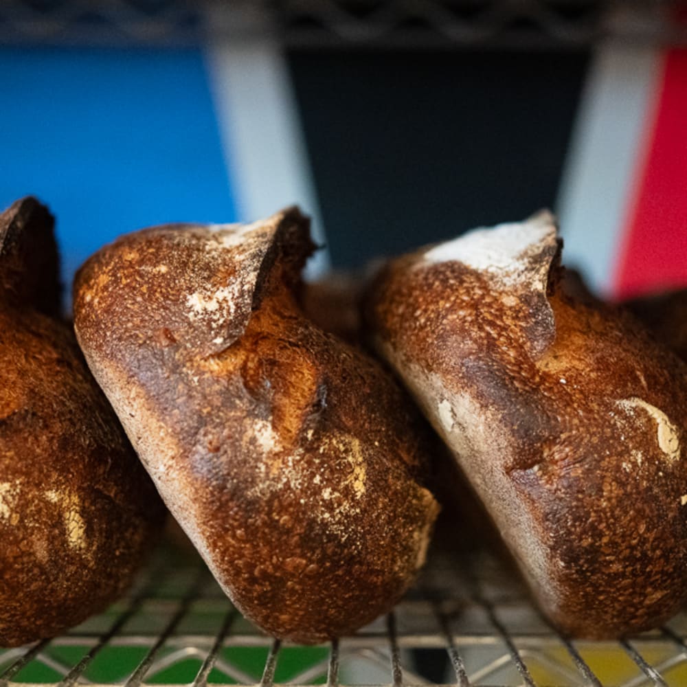 Loaves