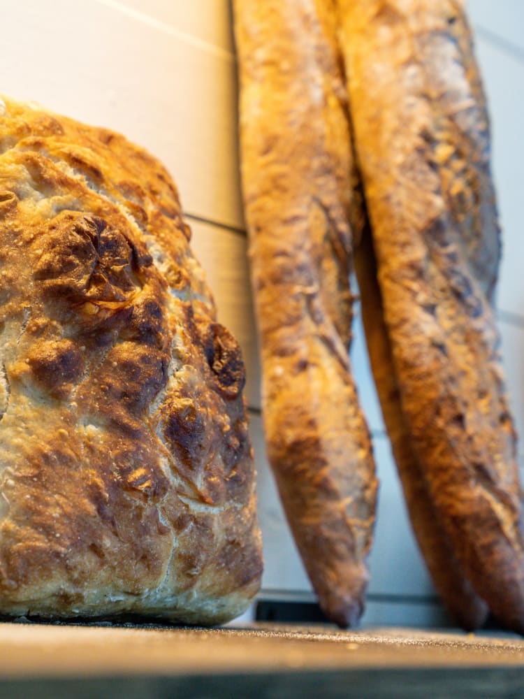 bread
