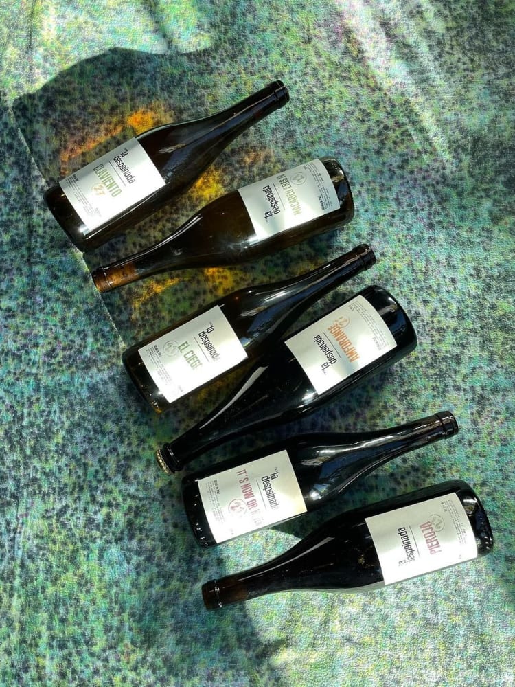 wine