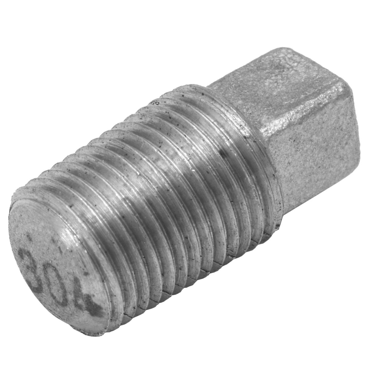 304 Stainless Steel Pipe Fitting 1/4" Square Head Plug
