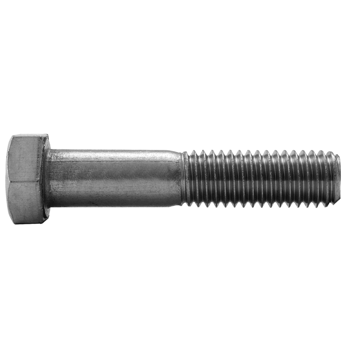 1"-8 x 4" Hex Cap Screws — Type 316 Stainless Steel, 10/PKG