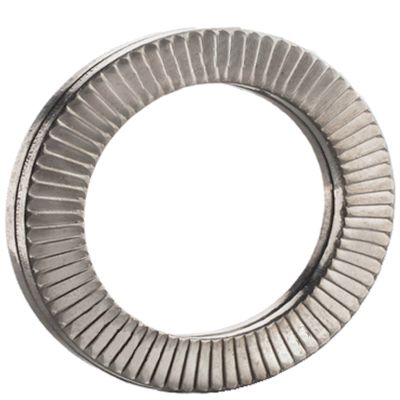 3/4" x 1.54 Disc Lock Washers — Type 316 Stainless Steel, Pair