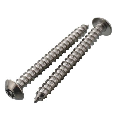 #10 x 2" Button Head Star Pin Security Tapping Screws — 18-8 Stainless Steel, 100/PKG