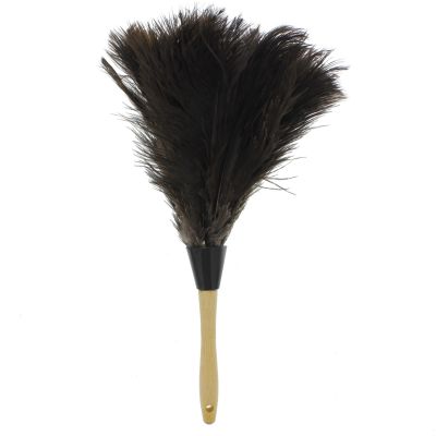 Professional Ostrich Feather Duster