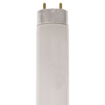 Fluorescent Lamp — 48"