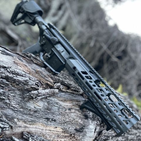 SIG 300 Blackout Virtus APE 