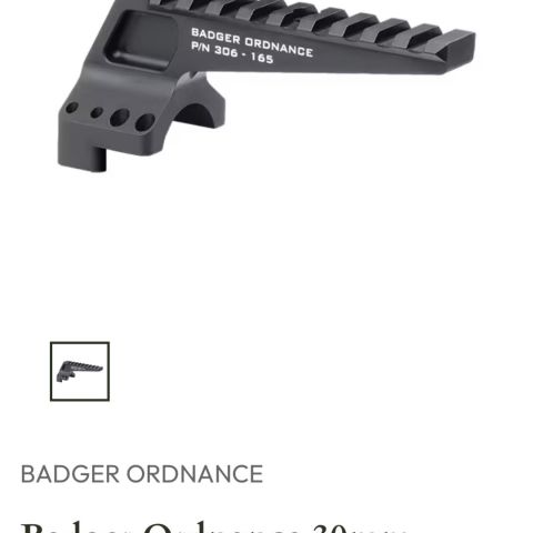 WTB Badger Coaxial 30mm rail