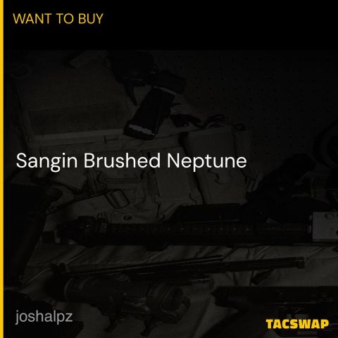 Sangin Brushed Neptune 